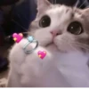 Kit >< ꒰ 𖥔 ִ ་ ꒱ 10
