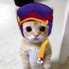 Котёнок с рисунками 6