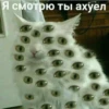 My_kit 7