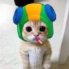 Котёнок с рисунками 7