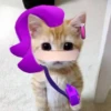 Котёнок с рисунками 8