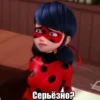 Memes_Miraculous 8