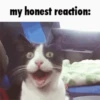 My honest reaction (by ) 10