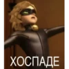 Memes_Miraculous 13