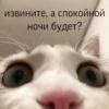 My_kit 12
