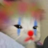 miau 11