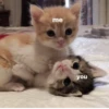 me you