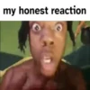My honest reaction (by ) 11