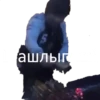 MEM 13