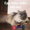 My_kit 15