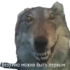 MEM 14