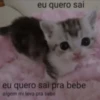 miau 14
