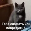 My_kit 16