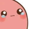 Potato 15