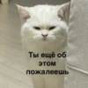 My_kit 18