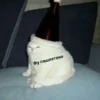 Mem :: 17