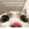 Больше стиков тут: @stikery4 18