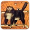 Medieval Cats 13