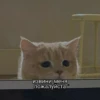 My_kit 19
