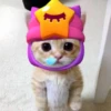 Котёнок с рисунками 10