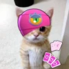 Котёнок с рисунками 11