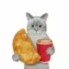 miau 18