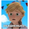 Memes_Miraculous 18