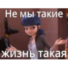 Memes_Miraculous 19