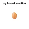 My honest reaction (by ) 16