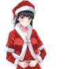 Merry Christmas 14