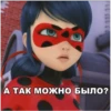 Memes_Miraculous 21