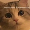 My_kit 23