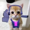 Котёнок с рисунками 13