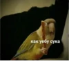 Mem :: 25