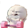 MEM 19