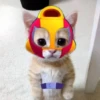 Котёнок с рисунками 14