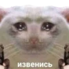 MEM 20