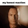 My honest reaction (by ) 21