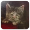 Medieval Cats 17
