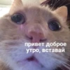 My_kit 25