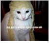 Mem :: 26