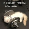 My_kit 26