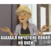 Memes_Miraculous 23