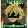 Memes_Miraculous 24