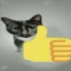 miau 23