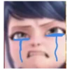 Memes_Miraculous 25