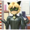 Memes_Miraculous 26