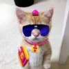 Котёнок с рисунками 15