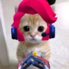 Котёнок с рисунками 16
