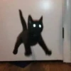 Мемные котики 14
